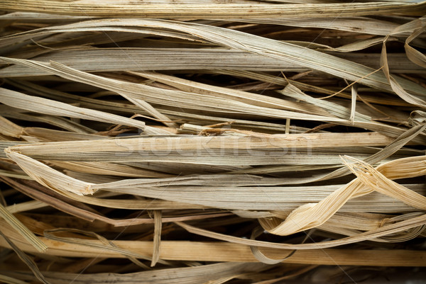 稻草 宏 圖片 乾燥 背景 黃色 商業照片 © italianestro