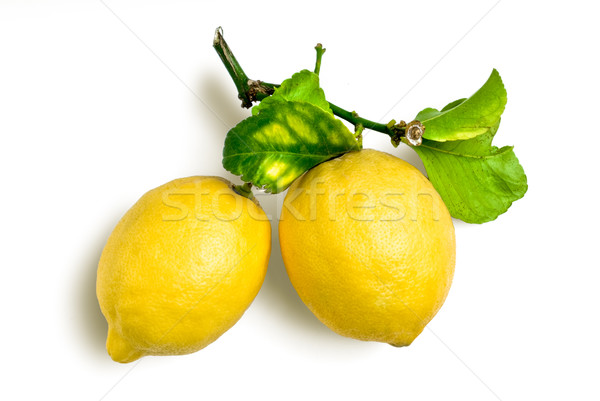 Natuurlijke citroenen twee spray organisch Stockfoto © italianestro