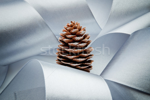 Natale albero di natale neve blu nastro pino Foto d'archivio © italianestro