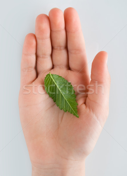 life in a hand Stock photo © italianestro