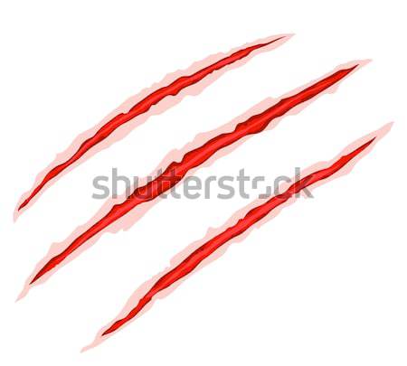 Claw scratches vector Stock photo © iunewind