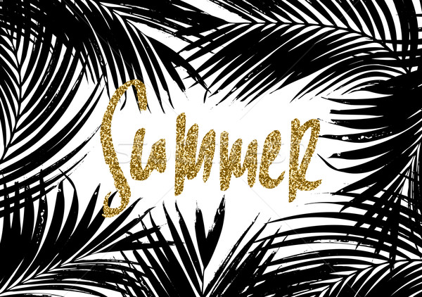 Summer Palm Leaves Design Stock photo © ivaleksa
