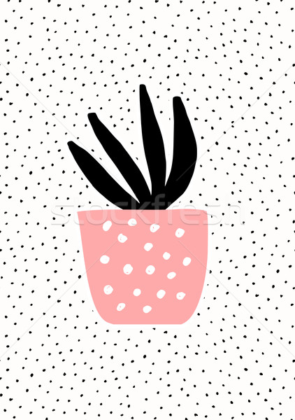 Roz oală suculent plantă negru textură Imagine de stoc © ivaleksa
