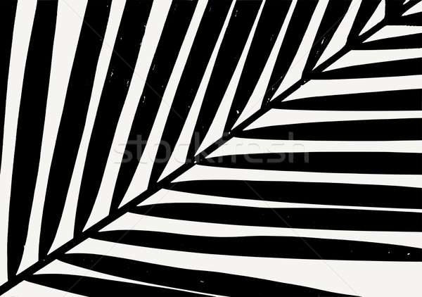 пальмовых листьев плакат дизайна силуэта черный кремом Сток-фото © ivaleksa