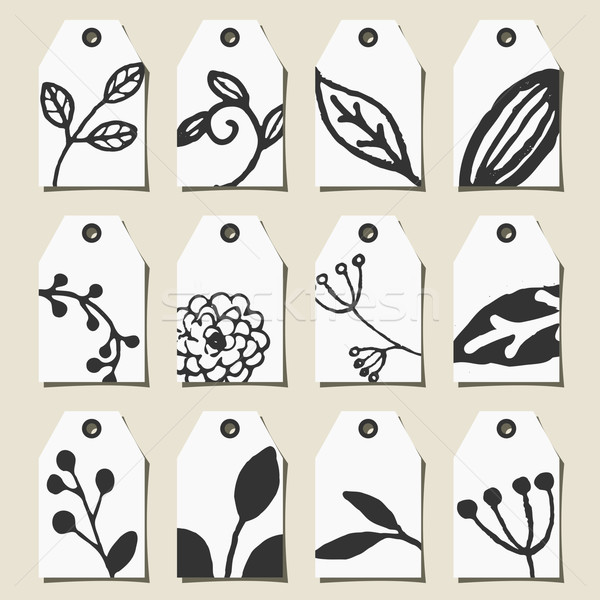 Fekete fehér virágmintás terv címkék szett Stock fotó © ivaleksa