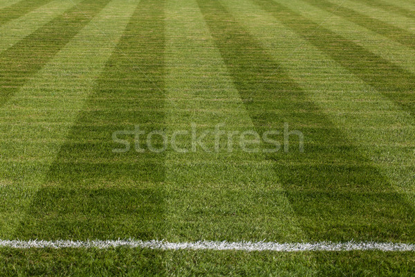 Natural green grass soccer field Stock photo © IvicaNS