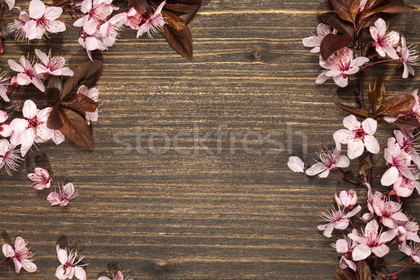 Voorjaar kersenbloesem rustiek houten bloem Stockfoto © IvicaNS
