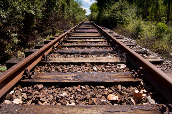 Train tracks Stock photo © IvicaNS