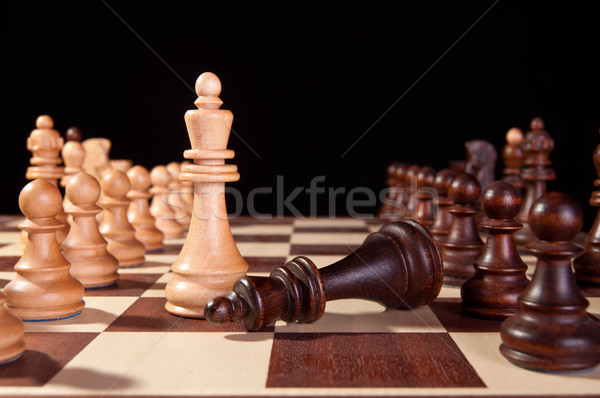 checkmate Stock photo © IvicaNS