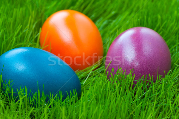 Easter eggs erba primo piano colorato texture uovo Foto d'archivio © IvicaNS