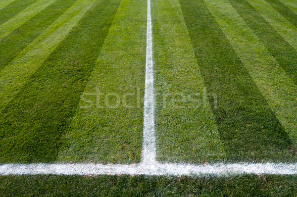 футбольное поле зеленый природного трава футбола текстуры Сток-фото © IvicaNS