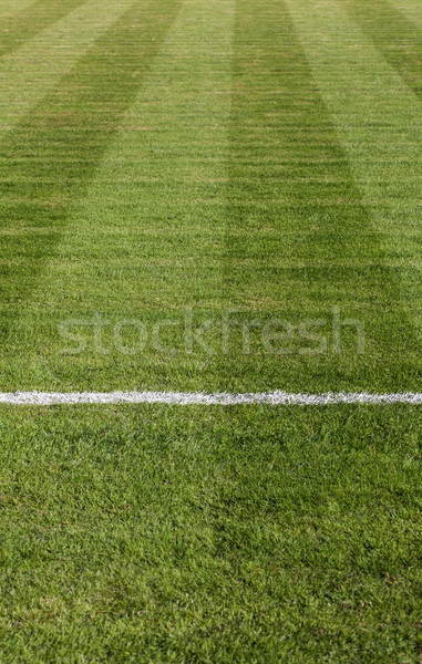 Natural green grass soccer field Stock photo © IvicaNS