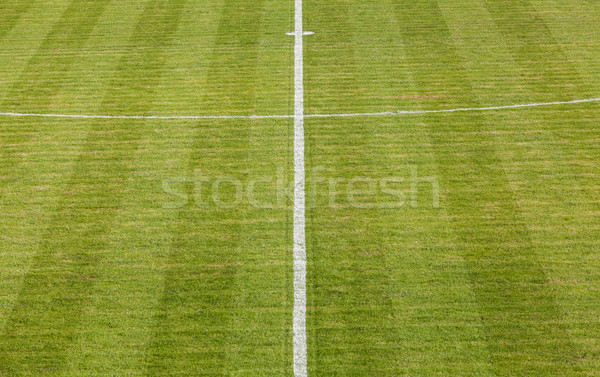 Naturalnych zielona trawa boisko do piłki nożnej obraz trawy Zdjęcia stock © IvicaNS