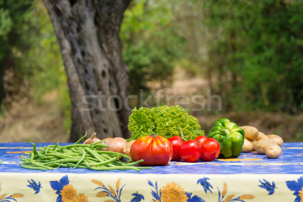 Vegetables in French garden Stock photo © ivonnewierink