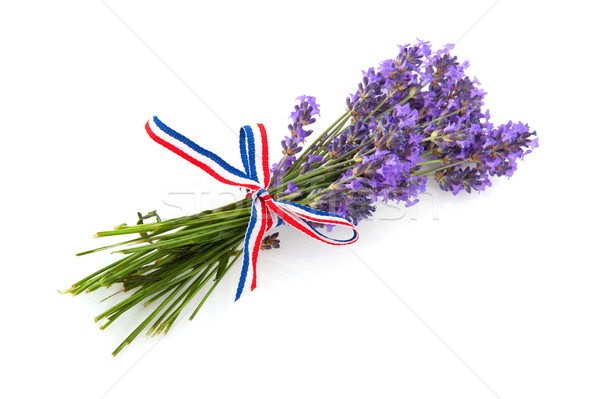 Lavender from the Provence Stock photo © ivonnewierink