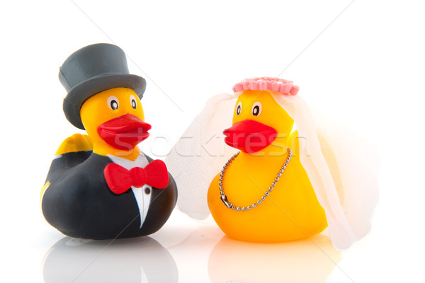 duck marriage Stock photo © ivonnewierink