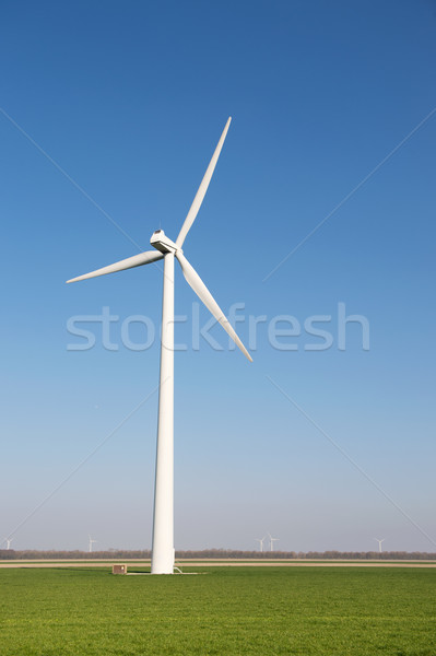 Windmill for wind energy in grass Stock photo © ivonnewierink
