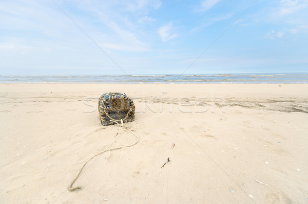 龍蝦 陷阱 北 海 濱 空的 商業照片 © ivonnewierink