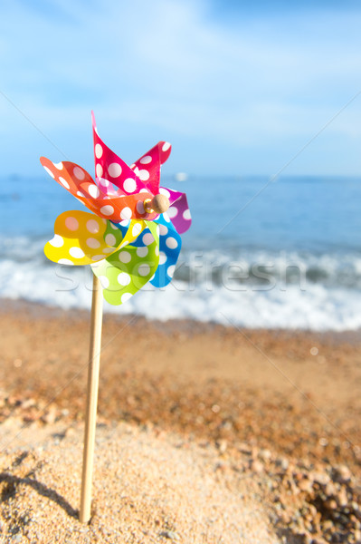 Zabawki turbina wiatrowa kolorowy plaży plastikowe Zdjęcia stock © ivonnewierink