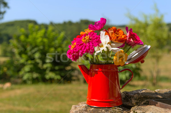 Foto stock: Ramo · jardín · flores · rojo · esmalte · té