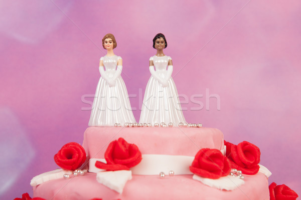 Wedding cake lesbiche Coppia rosa rose rosse top Foto d'archivio © ivonnewierink