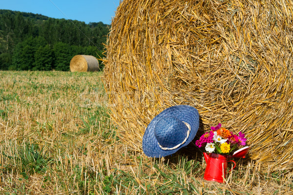 Cesta de picnic verano sombrero agricultura paisaje ramo Foto stock © ivonnewierink