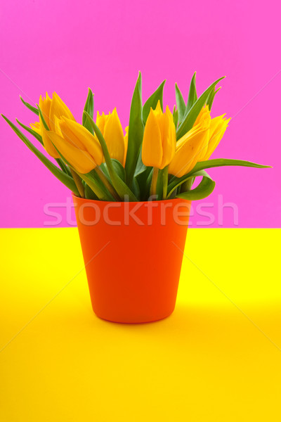 Stock foto: Farbenreich · gelb · Tulpen · rosa · orange · Blumen