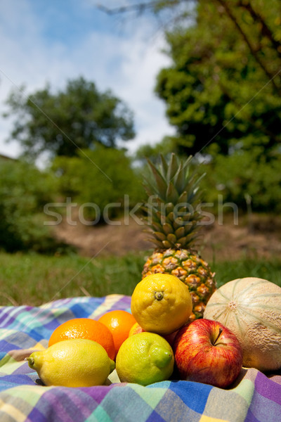 靜物 夏季水果 戶外 水果 樹 商業照片 © ivonnewierink