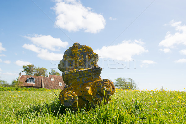 Grave yard at Dutch Terschelling Stock photo © ivonnewierink