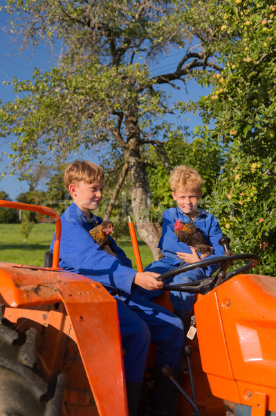 Farm Boys on tractor Stock photo © ivonnewierink