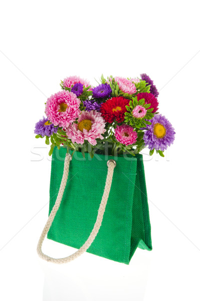 Bouquet New England Asters Stock photo © ivonnewierink