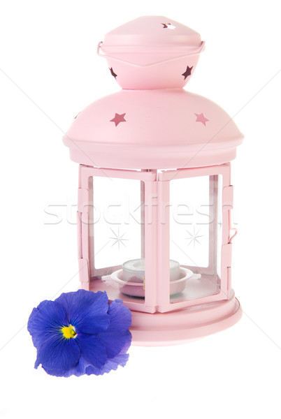 Сток-фото: розовый · саду · фонарь · синий · цветок · стекла