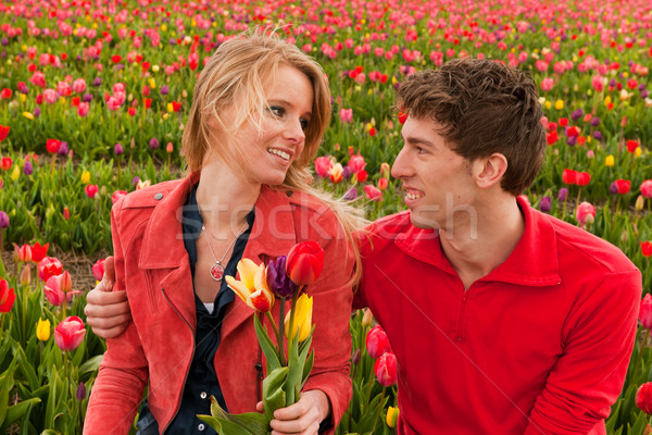 Stok fotoğraf: Mutlu · hollanda · çiçek · alanları · renkli