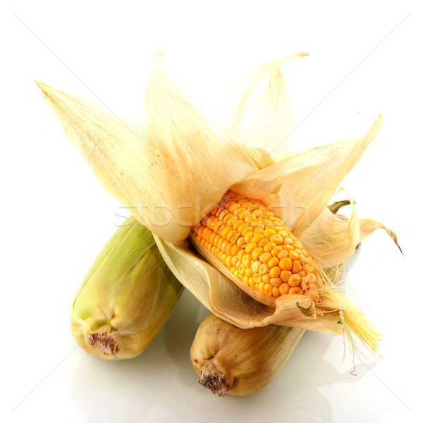 maize Stock photo © ivonnewierink