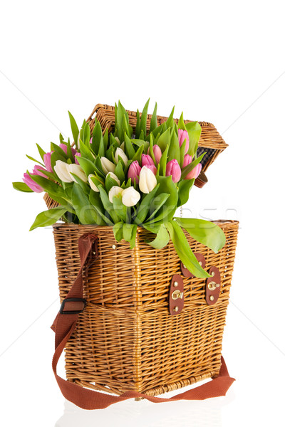 Pink and white tulips in basket Stock photo © ivonnewierink