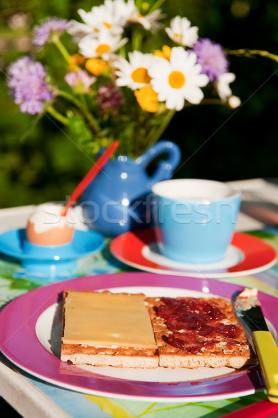 Breakfast in the garden Stock photo © ivonnewierink