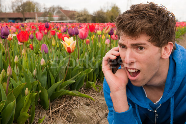 Készít rettenetes telefonbeszélgetés férfi virág mezők Stock fotó © ivonnewierink