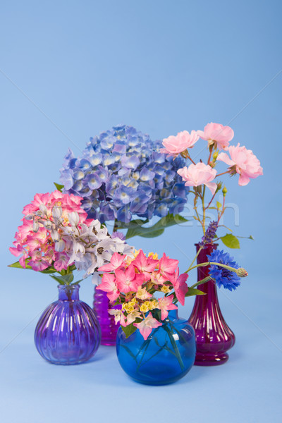 Flowers on blue background Stock photo © ivonnewierink