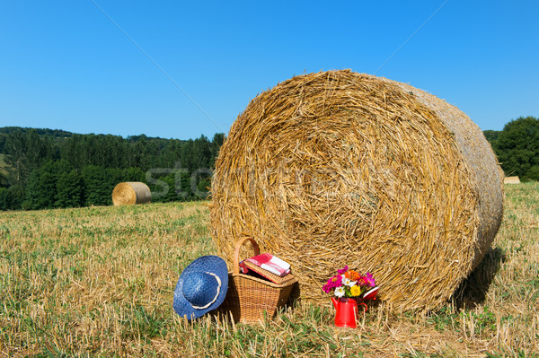 Picnic basket and summer hat in agriculture landscape Stock photo © ivonnewierink