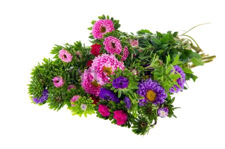 Stock photo: Bouquet New England Asters
