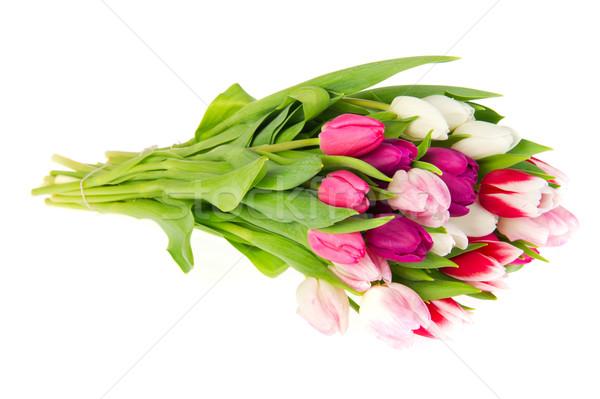 Stock photo: Colorful bouquet tulips