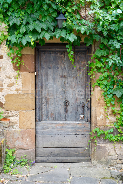 Eski ahşap kapı kapalı Stok fotoğraf © ivonnewierink
