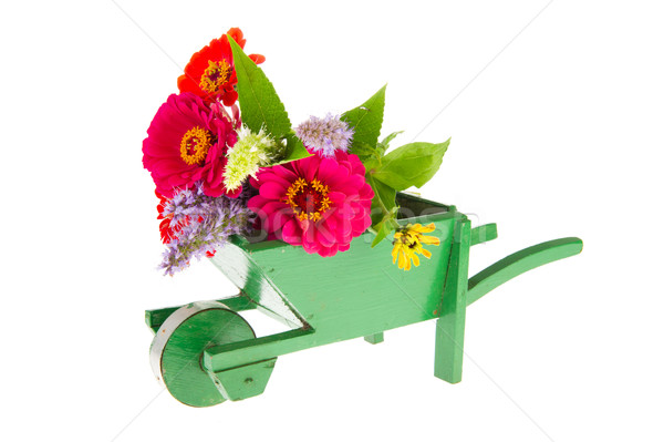 Green wheel barrow with flowers Stock photo © ivonnewierink