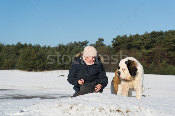 Owner with Sait Bernhard dog Stock photo © ivonnewierink