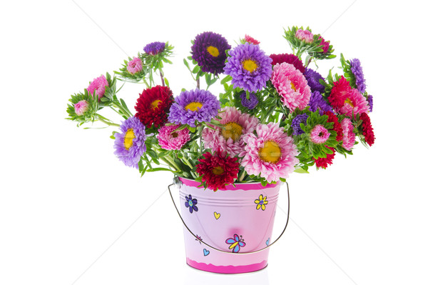 Bouquet New England Asters Stock photo © ivonnewierink