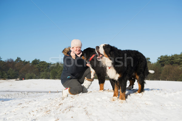 Owner with Berner Sennenhunden Stock photo © ivonnewierink