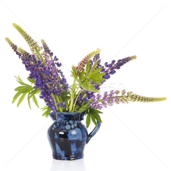 Pourpre vase isolé blanche bouquet Photo stock © ivonnewierink