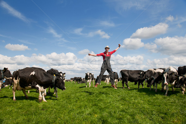 Stockfoto: Gelukkig · landbouwer · veld · koeien · jonge · springen