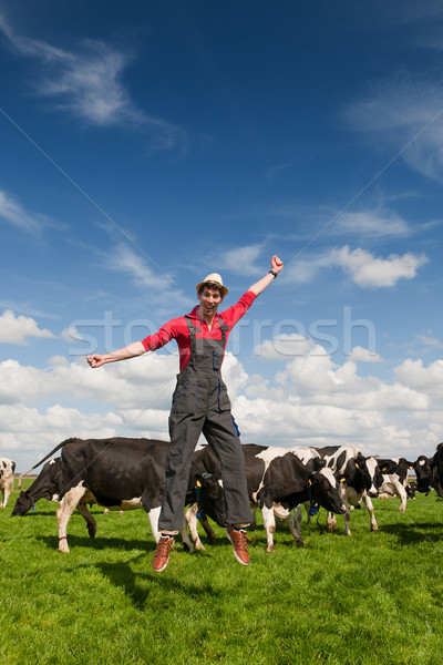 Stockfoto: Gelukkig · landbouwer · veld · koeien · jonge · springen