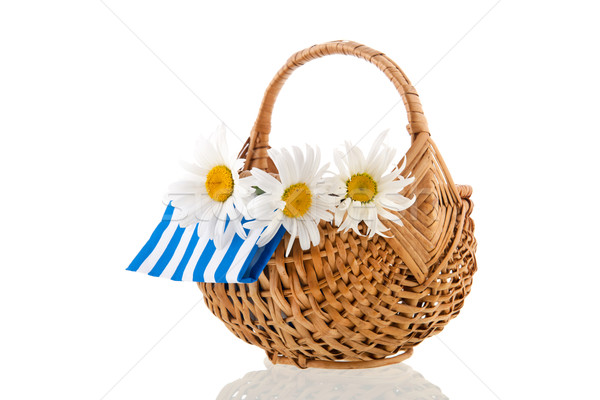 White daisies in wicker basket Stock photo © ivonnewierink